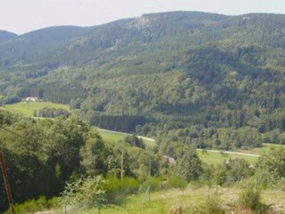 Camp JA CCFD aout 2009