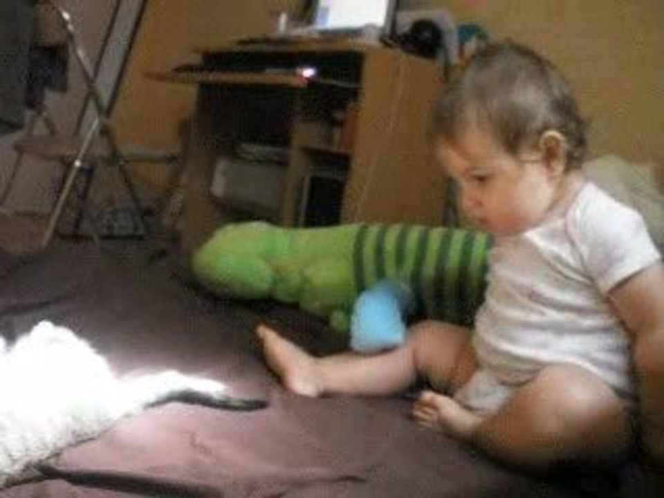 louise le croco et le chat