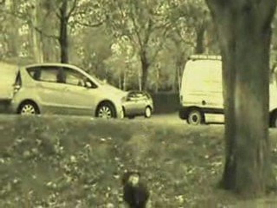Belgian Parkour - Entrainement Bxl