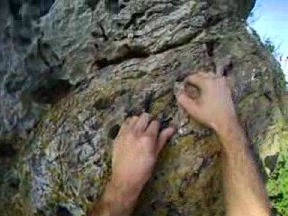 Le toit des alvéoles Gages escalade