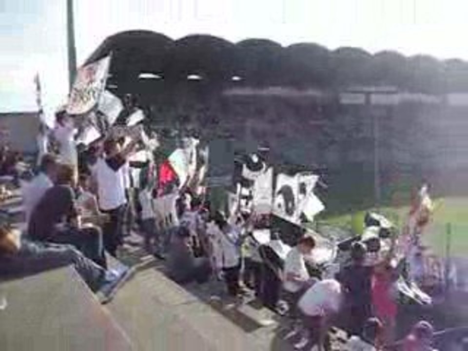 supporters du sco angers