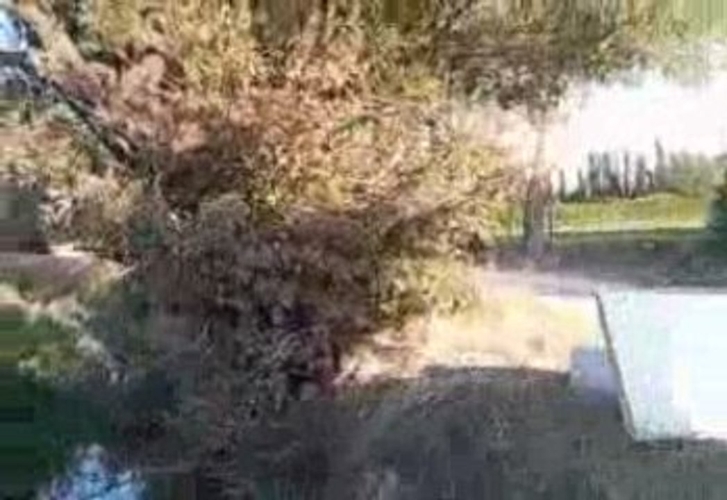 Doublé du véritable serge