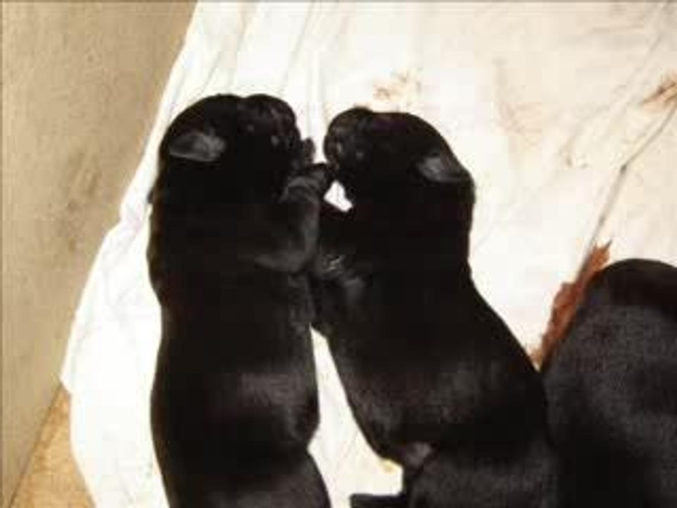 bébés 3jours