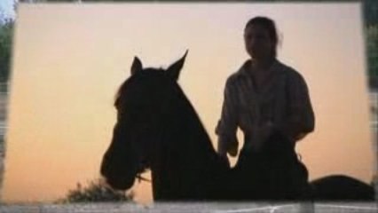 Présentation des écuries de Saint Julien