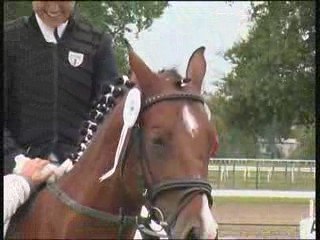 PRELIMINARY FEI WORLD CHALLENGE 2009.