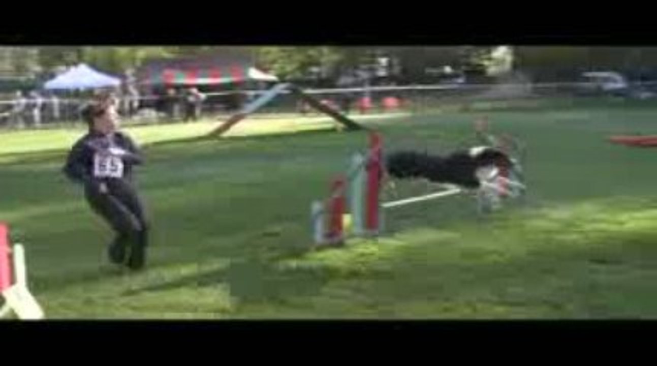 Aston Open Agility St Genix sur Guiers 06/09/2009