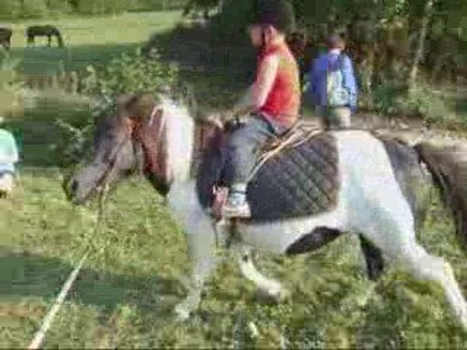NEIL ET LA GENTILLE CERISE
