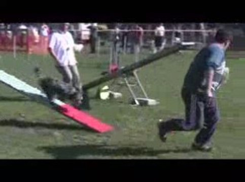 Blueberry Open Agility St Genix sur Guiers 06/09/2009