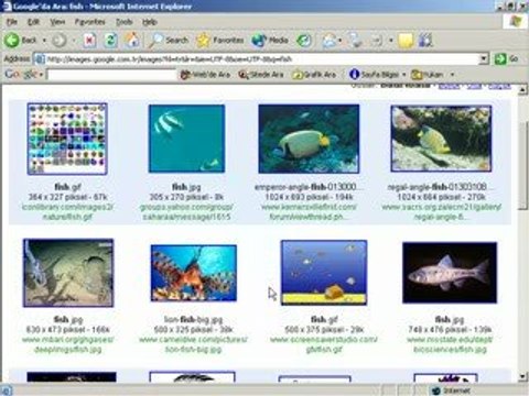 Dosya Kopyalamak İçin Panoyu Kullanmak