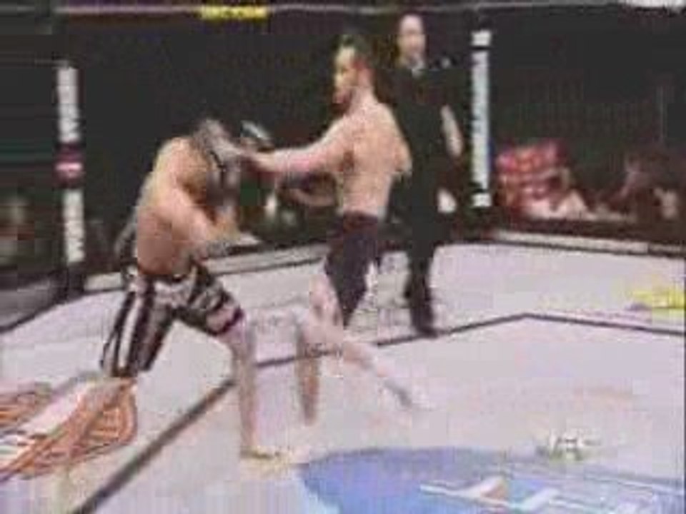 UFC 103Franklin vs Belfort