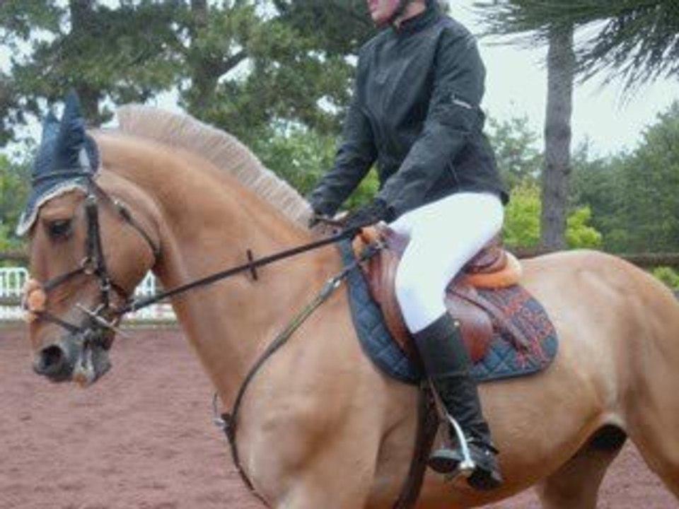 Arskélad & Aglaé. Année 2008-2009.
