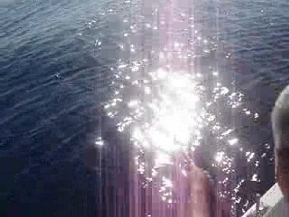 Adrasan Sırtı ile Kuzu Avı