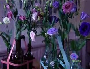 Chinez vos fleurs chez Camille