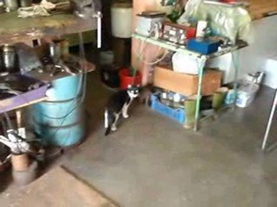 Argeo Moretti démarre sa Gillet Herstal 350 de 1934