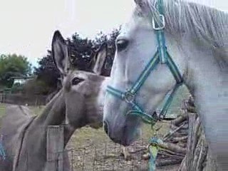 Paso et une copine a lui lol