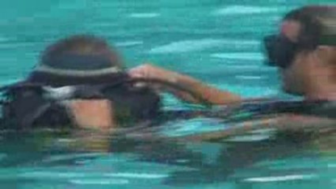 Plongée Camping Le Soleil Argeles Aout 2009