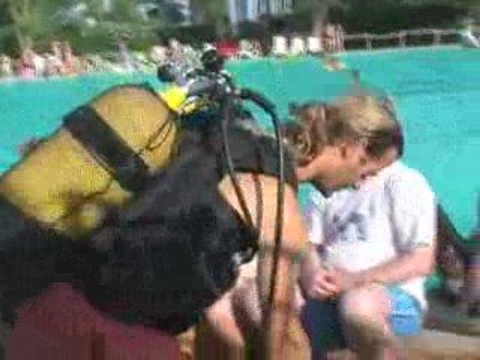 Préparation Plongée Camping Le Soleil Argeles Aout 2009