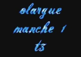 manche 1 t3 olargue