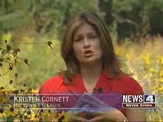 How To Beat Allergies This Fall - KMOV - News 4 St. Louis