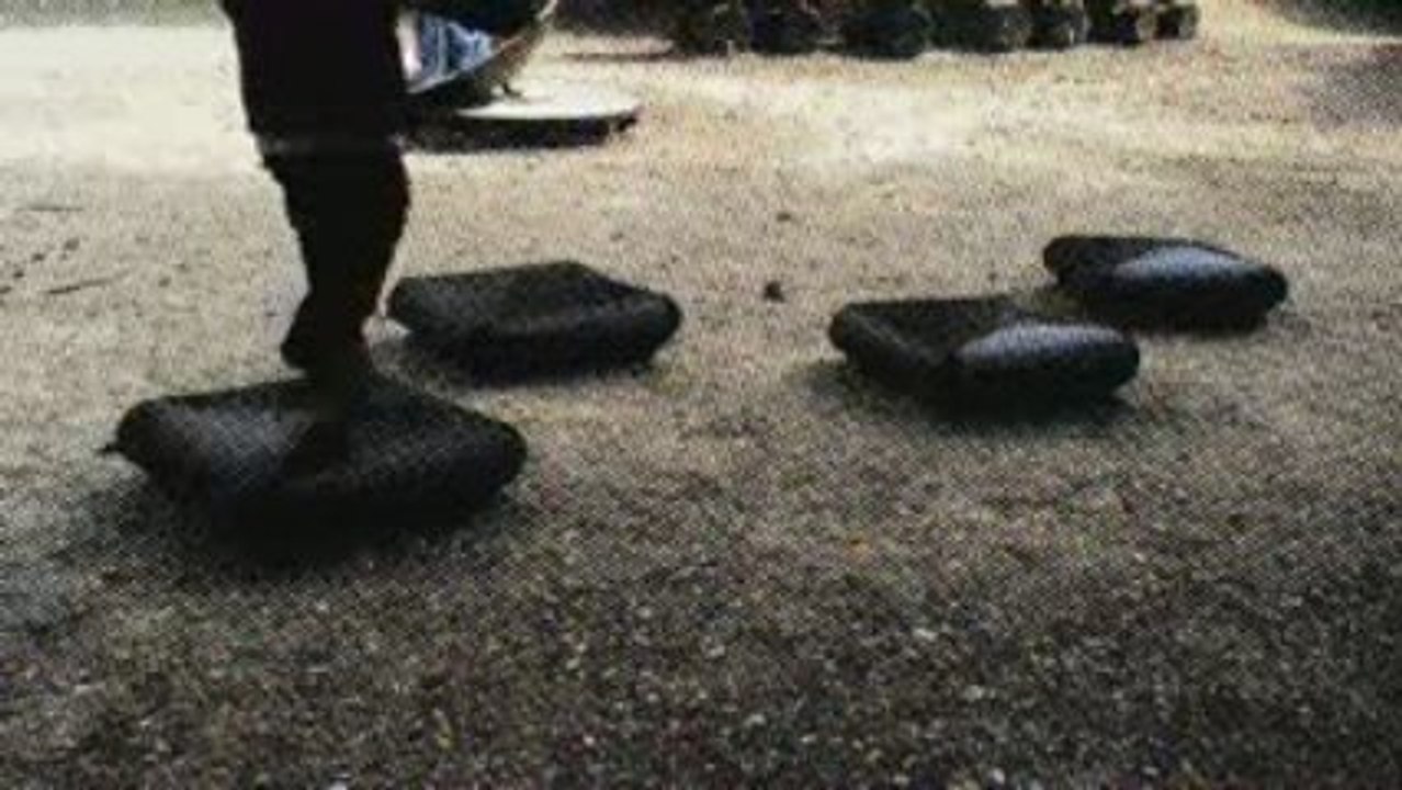 SEPT JEUNES INFIRMIERES RIENT "Played into the zoo"