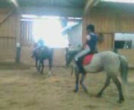 moi galop saut