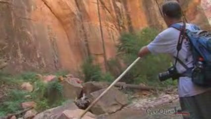 Zion Narrows Complete - Top to Bottom - Zion National Park