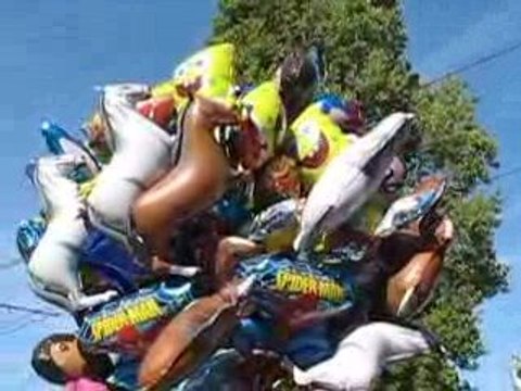 Nantes : Rendez-vous de l'Erdre 2009