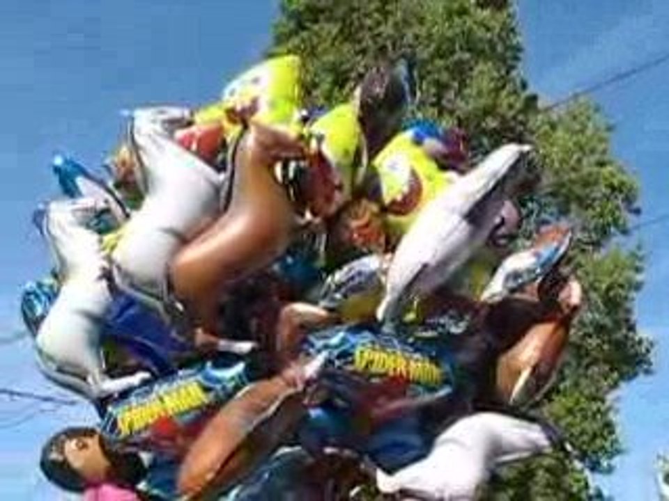 Nantes : Rendez-vous de l'Erdre 2009