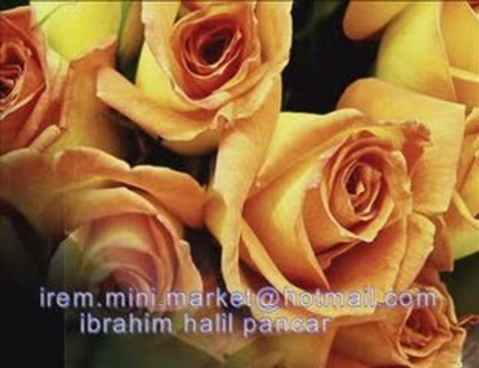 yagma dolu-ibrahim halil pancar