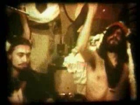 Devendra banhart little yellow spider