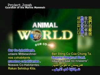 Project Jonah, Guardian of the Marine Mammals