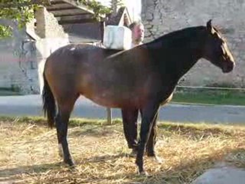 tato blasée