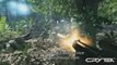 Buy Crysis CD Key PC game - www.cdkeyhouse.com