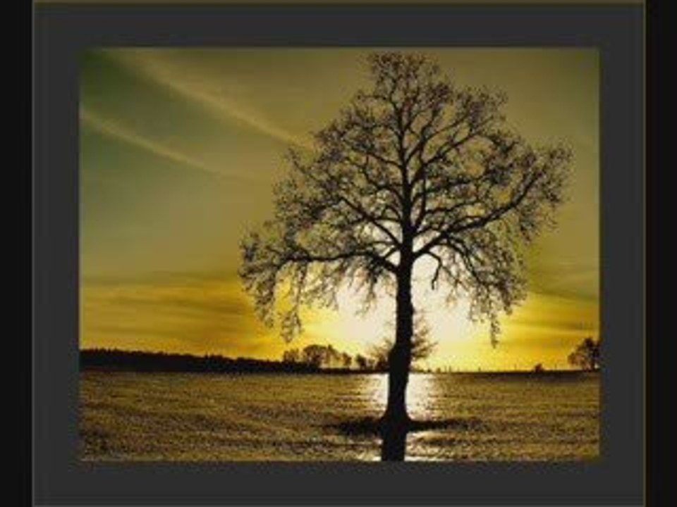 Suavi - Cem Karaca - Sende Başını Alıp Gitme Ne Olur