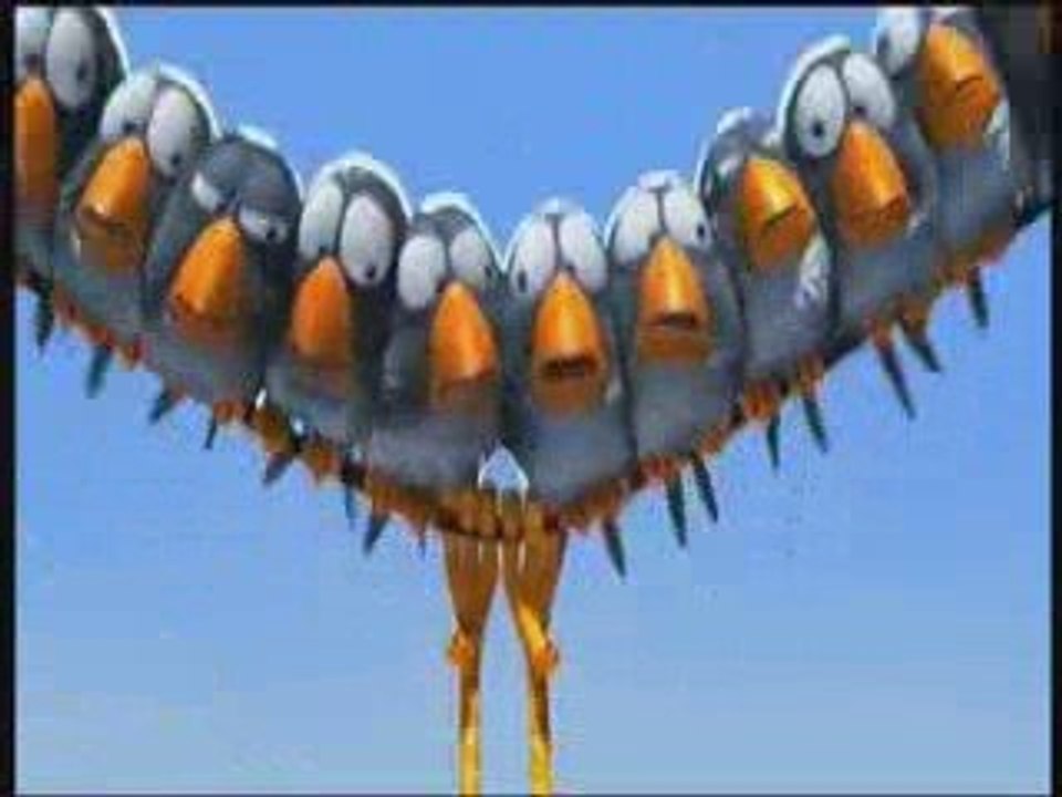 Birds North America Filtering Air For Pet Birds Necessary fo