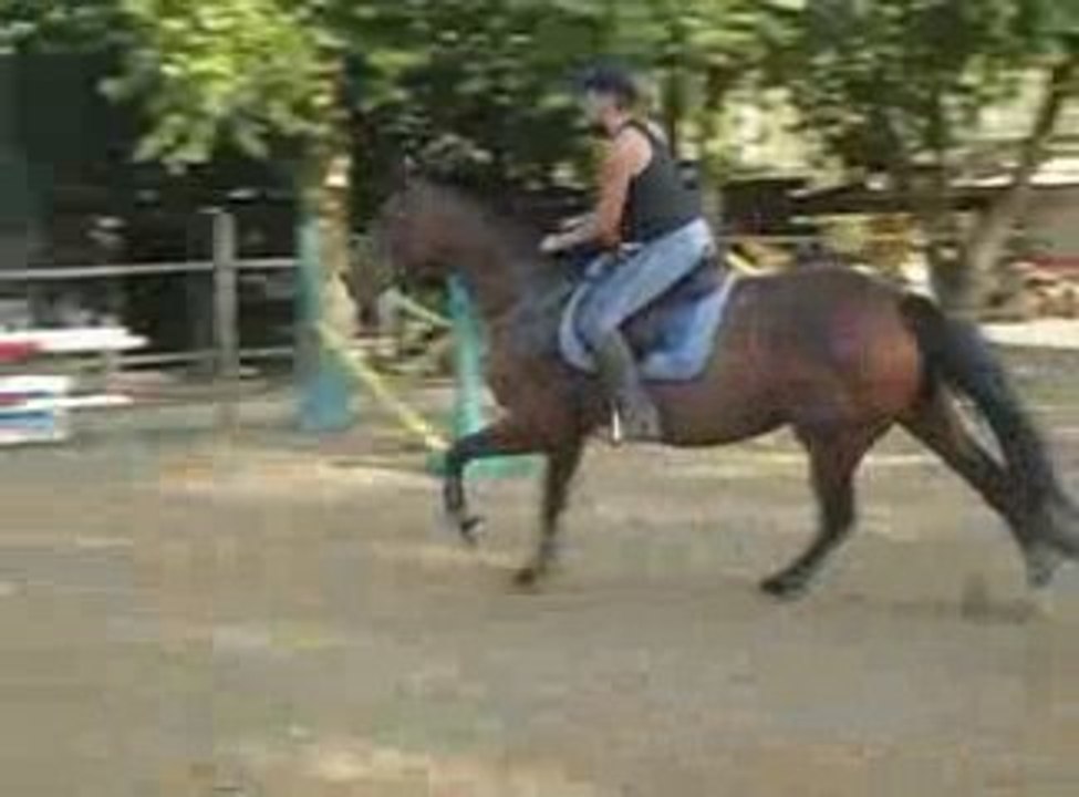 Qu'une des Gironnets par Flipper d'elle