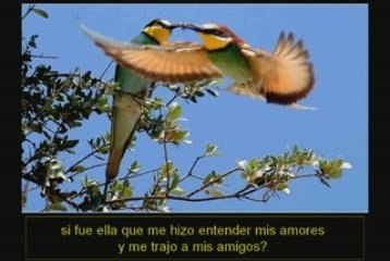 Video 75 - The Secret de Rhonda Byrne