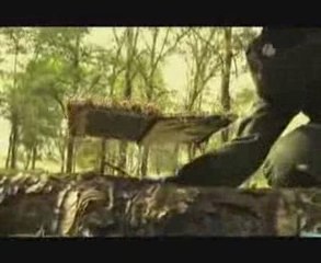 These bees are amazing - Flying with Laptop