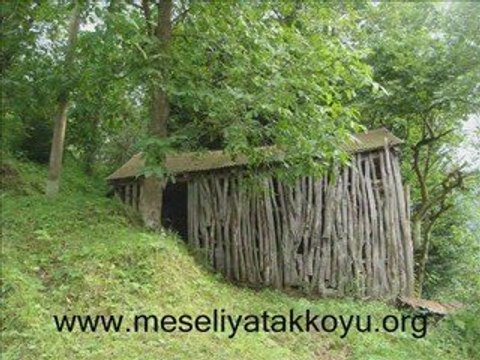 giresun dereli meseliyatak