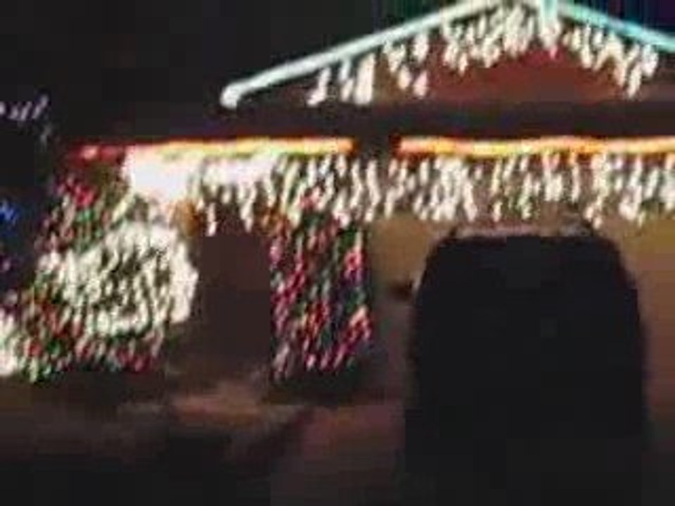 Christmas Tree and Christmas Lights
