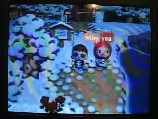 Animal crossing folk city catching fish