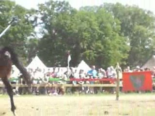 Scennette au tournoi médiéval d'Ansbroek