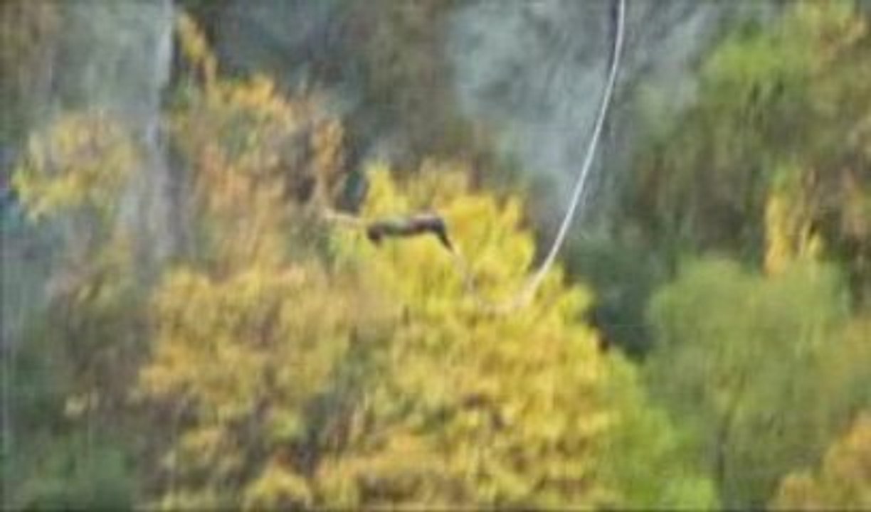 L'univers Et Ses Mystères N°5 La Lune/2