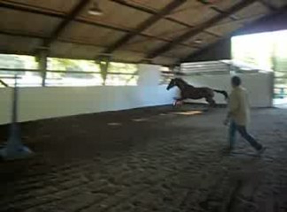 Charme de Prelly 2ans par Corofino