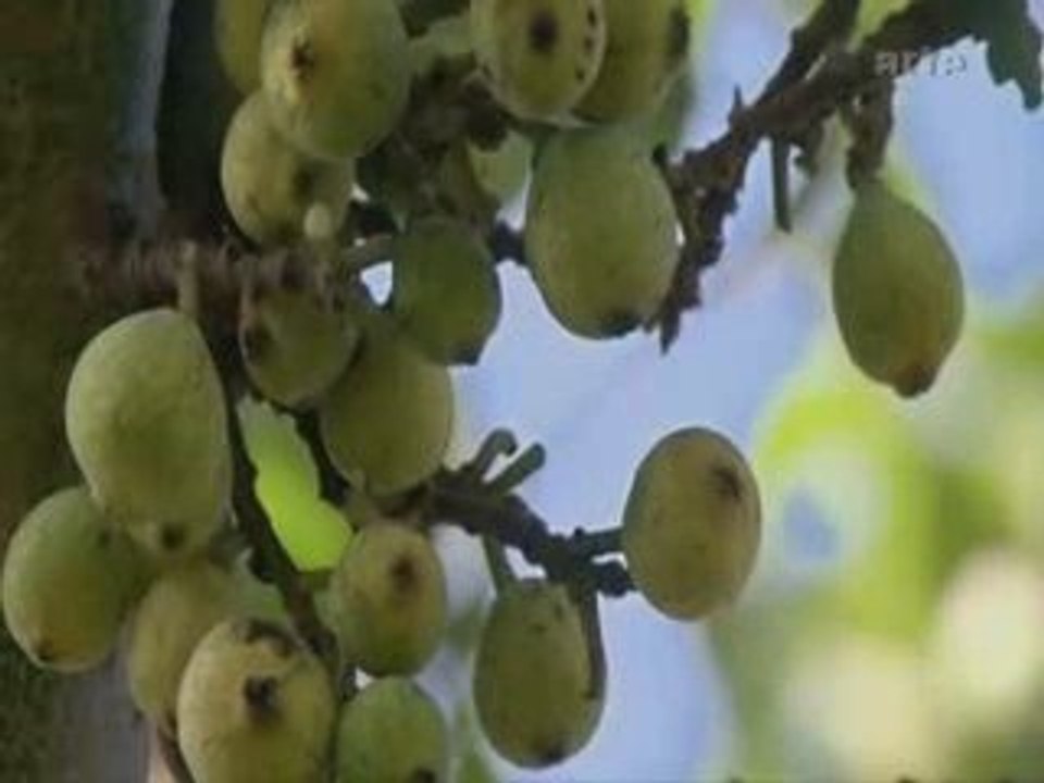 spiritualité 3sur3() solitude amour sagesse