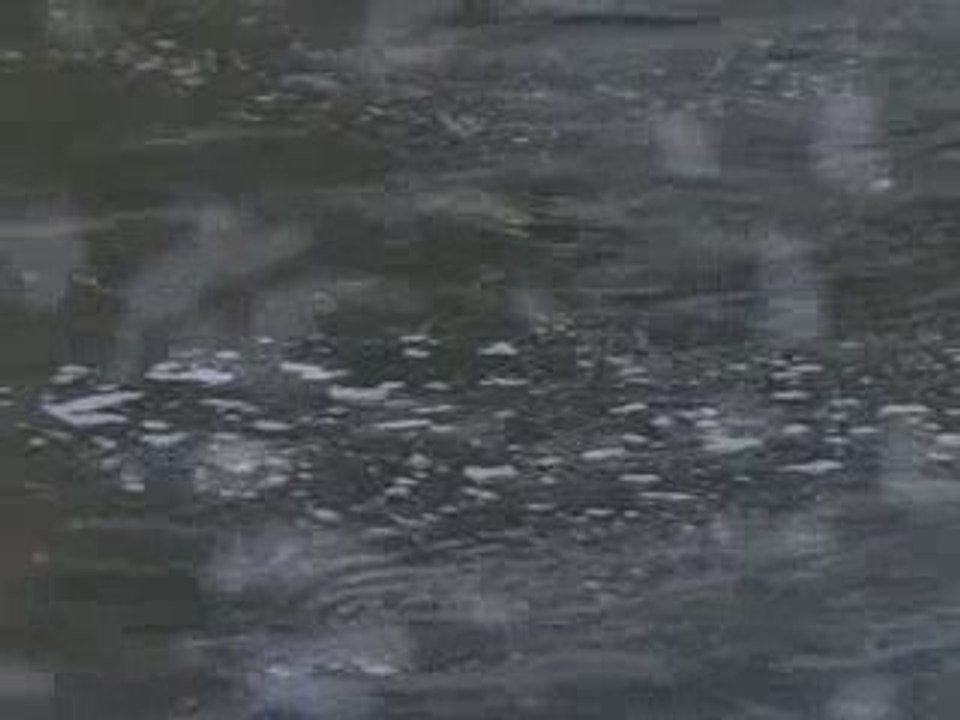 Présentation de la Biowashball originale de Hao Pi