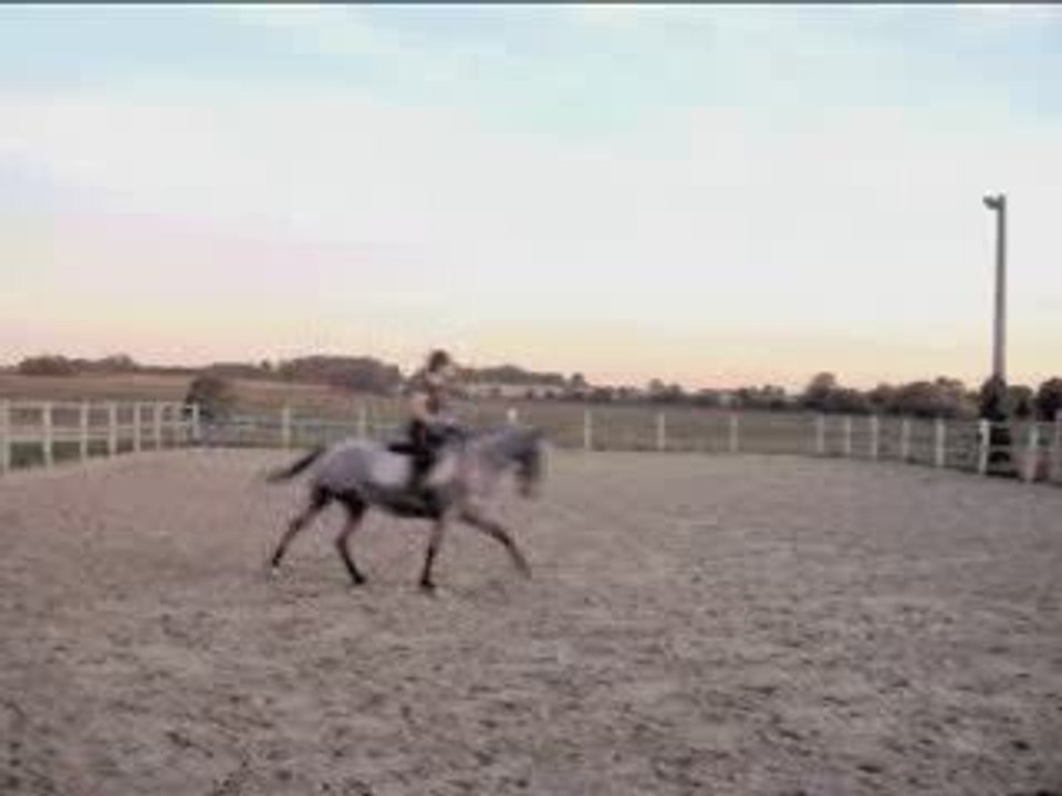 séance 23/09/2009 galop