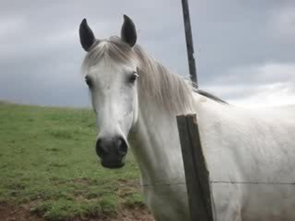 Plus bons moments avec mes loulous <3