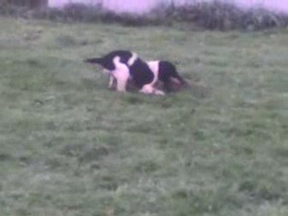 echo des etangs de dame blanche