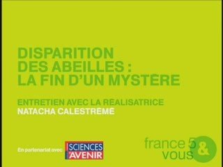 Entretien avec Natacha Cales DISPARITION DES ABEILLES 1-2